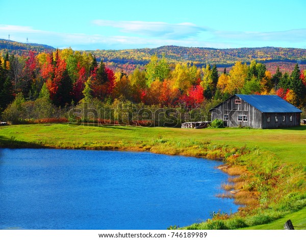 Cabane Au Bord Dun Lac Sur Stock Photo Edit Now