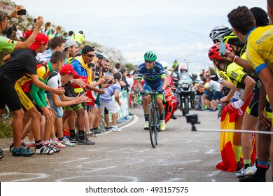 Cabarga, Spain - August 31, 2016: Cyclist Esteban Chaves Climbing Cabarga´s Port During The Tour Of Spain.