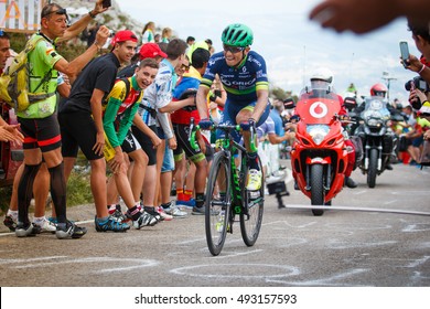 Cabarga, Spain - August 31, 2016: Cyclist Esteban Chaves Climbing Cabarga´s Port During The Tour Of Spain.