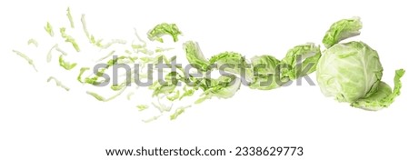  cabbage is chopped  on a white isolated background