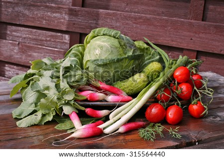 Similar – Ecological bag with vegetables on blue background