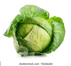 Cabbage Isolated On White