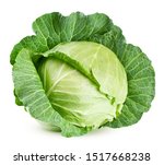 cabbage isolated on white background, clipping path, full depth of field