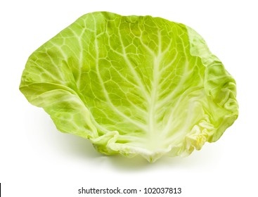 Cabbage Leaf Against White Background