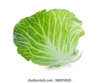 Cabbage Leaf On White Background