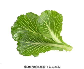 Cabbage Leaves Isolated On White