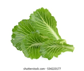 Cabbage Leaves Isolated On White