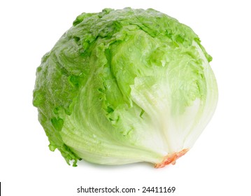 Cabbage Lettuce Isolated On White