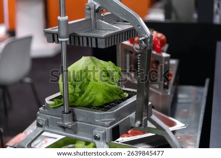 Cabbage prep station with a vegetable chopper at a culinary event