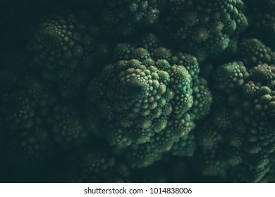 cabbage rome on macro