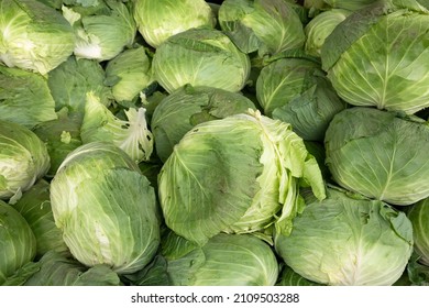 Cabbages on the table in a traditional marketplace in Taiwan - Shutterstock ID 2109503288