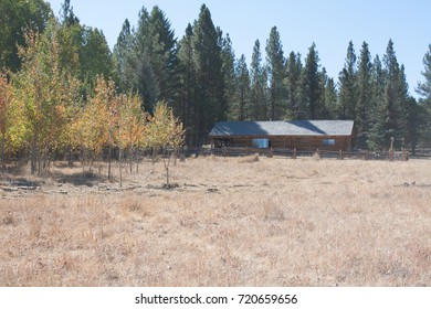 Cabin up against the trees.
