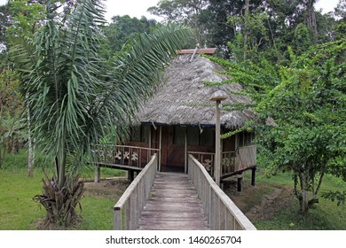 Royalty Free Jungle Cabin Stock Images Photos Vectors