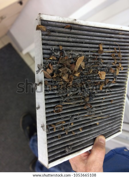 cabin filter\
with dry garbage in the man\'s\
hand