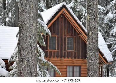 Cabin in the Forest