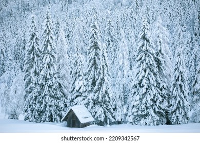 Cabin In Forest Near Kranjska Gora, Slovenia - Winter Landscape