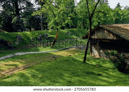 Cabin, grass, trees, path, forest, wooden, sunlight, countryside: rustic wooden cabin beside sunlit grassy clearing with winding stone path through trees, peaceful rural landscape and summer foliage.