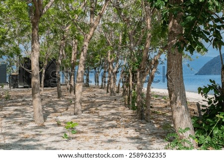 Cabin inbetween trees on the beach with sunlight
