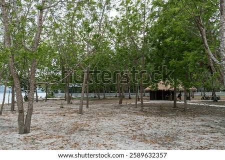 Cabin inbetween trees on the beach with sunlight