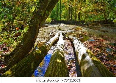 Cabin John Park, Bethesda, Maryland Nature