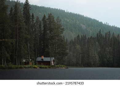 Cabin life in the forest