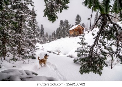 Cabin in the mountains near Lake Baikal, Siberia, Russia. - Powered by Shutterstock