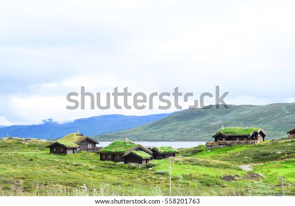 Cabin Norway Norwegian Typical Grass Roof Stock Photo Edit Now