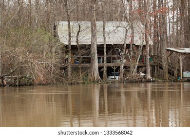 Cabin In The Swamp