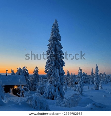 Similar – Image, Stock Photo Evening impression on the mountain