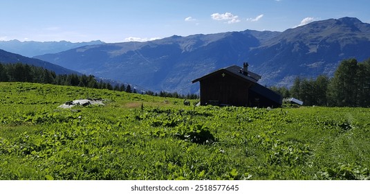 Cabin in wood on the edge of the mountain in the forest - Powered by Shutterstock