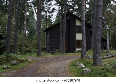 Cabin in the Woods