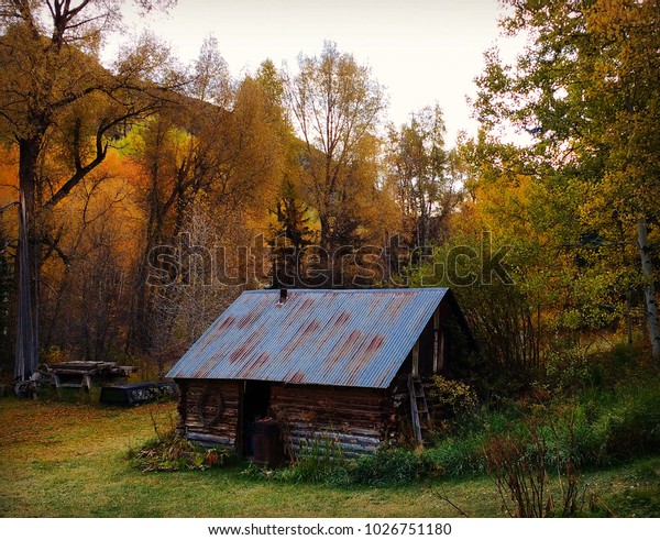 Cabin Woods Stock Image Download Now