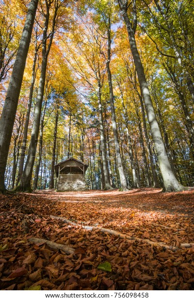 Cabin Woods Autmun Bavaria Germany Stock Image Download Now