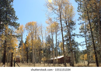 Arizona Cabin Images Stock Photos Vectors Shutterstock