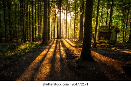 Cabin In The Woods - Sunset In The Forest