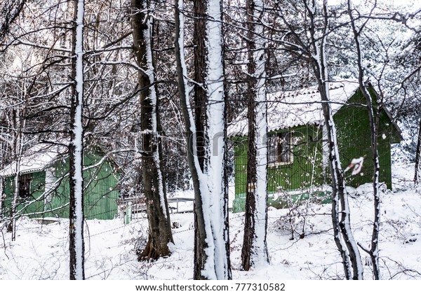 Cabin Woods Winter Revealing Otherwise Well Stock Photo Edit Now