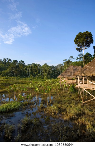 Cabins Kapawi Ecolodge Off Pastasa River Stock Photo Edit Now