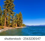 Cabins and Pine Forest on Sugar Pine Point, Lake Tahoe, Ed Z