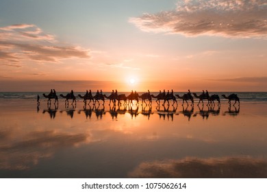 Cable Beach Camels