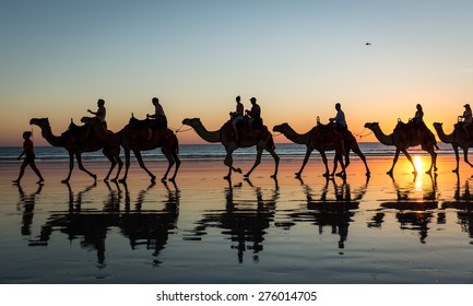 Cable Beach Camels