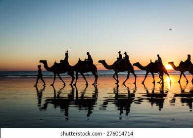 Cable Beach Camels