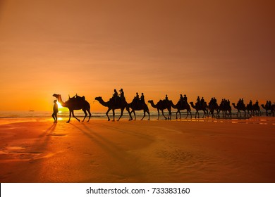 Cable Beach, Camels Ride At Sunset, Broome, Australia