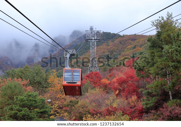 The cable car is moving to the peak of mountain\
in autumn.