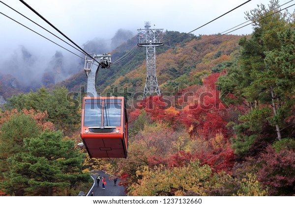 The cable car is moving to the peak of mountain\
in autumn.