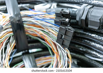 Cable Harness With A Connector