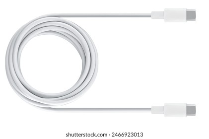 cable with USB and Type-C connector, insulated on white background