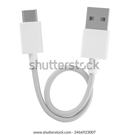 cable with USB and Type-C connector, insulated on white background