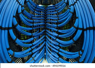 Cabled in server room