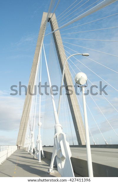 Cables and towers of Arthur Ravenel Bridge in\
Charleston, S.C. Spans Cooper River, impressive example of\
transportation engineering.\
