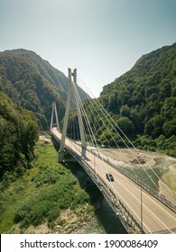 Cable-stayed bridge in the mountains covered with trees